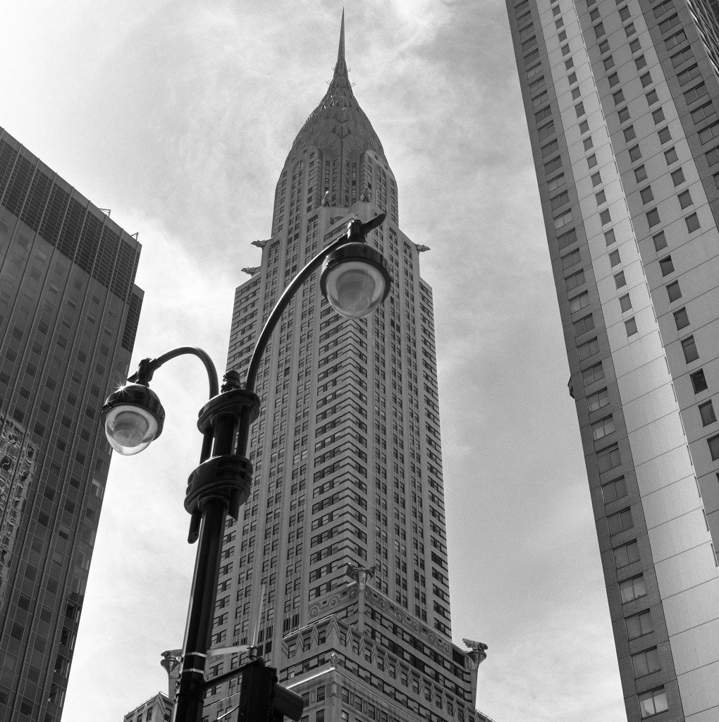 Things They Never Tell You about New York: A Year in the Big City
