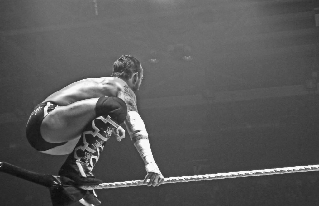 Wrestling with Myself: Uninitiated and Ringside at the WWE
