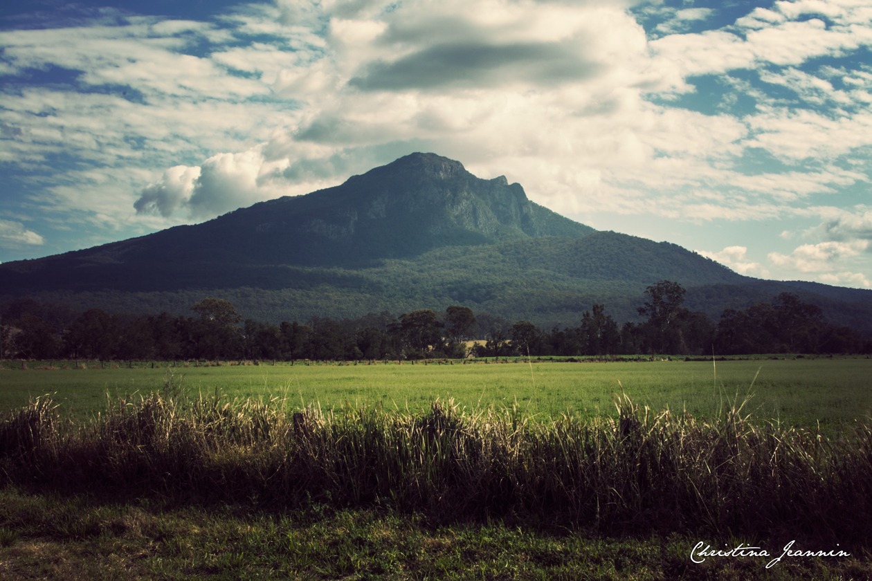 A long-range photograph of Mount Barney, a large rocky mountain emerging from flat grassland.