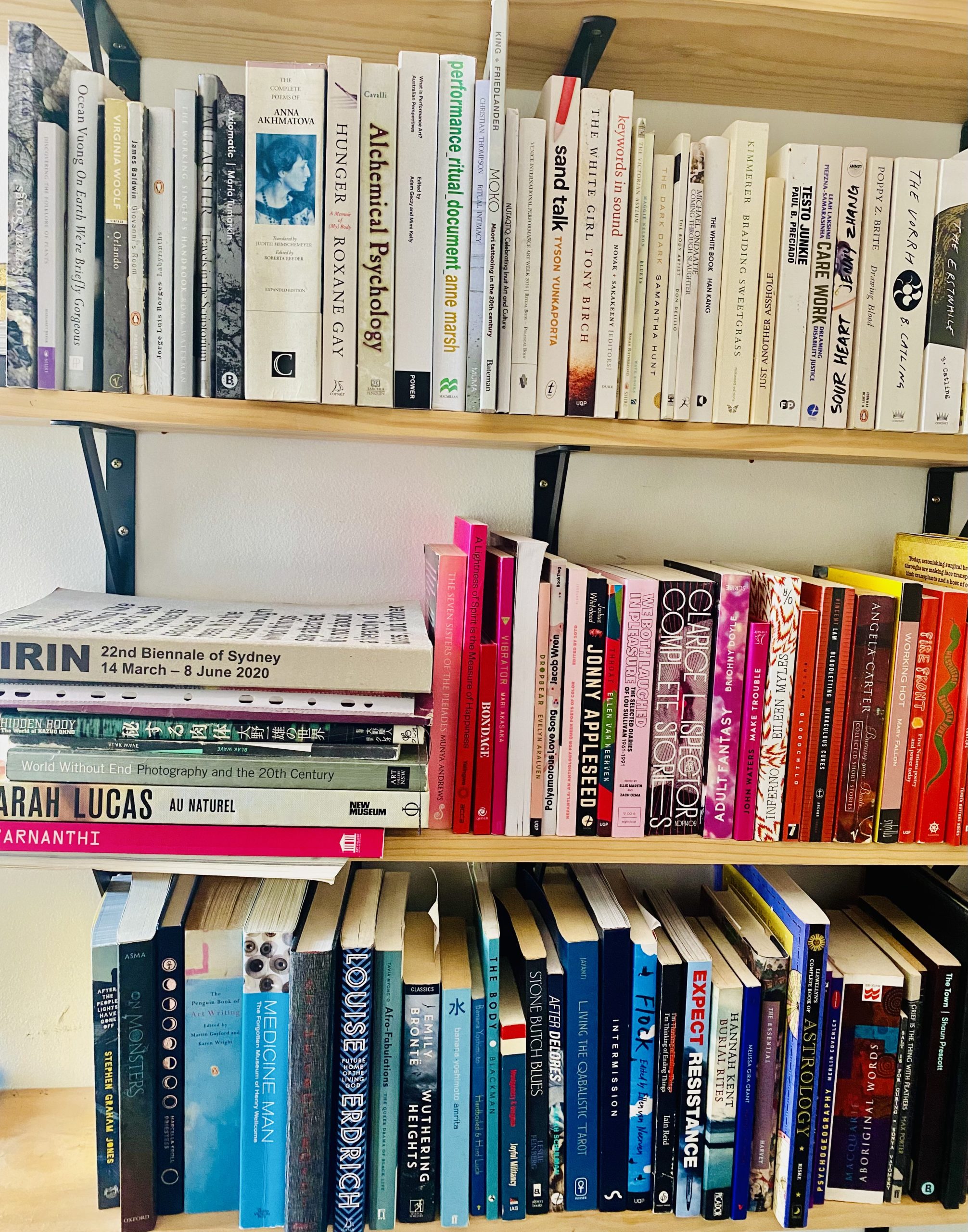 three timber bookshelves fastened to a wall. The books on the top shelf are white, on the middle shelf has pink and red, and the bottom are blue.