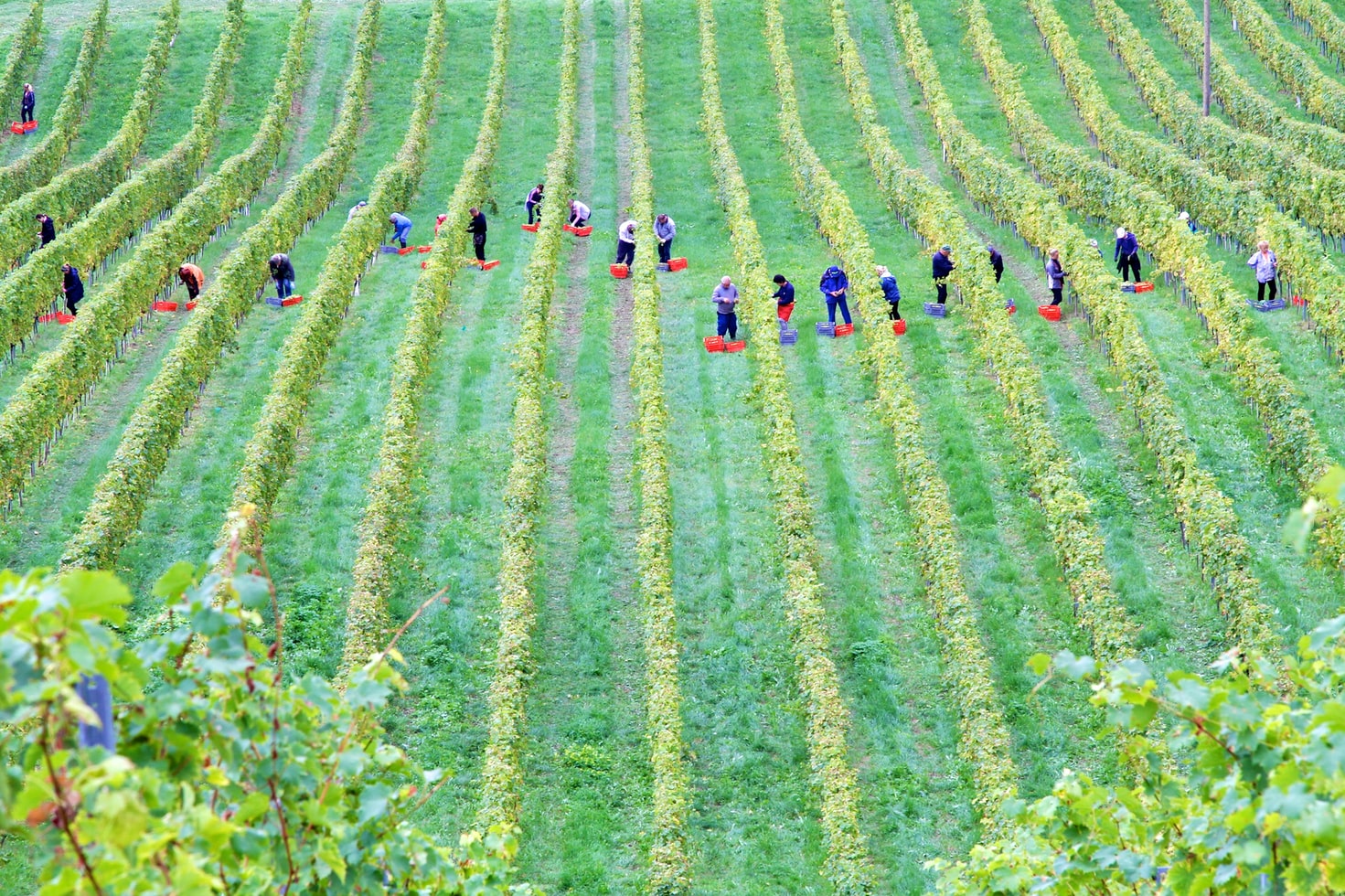 Is There an Equitable Future for Farming?