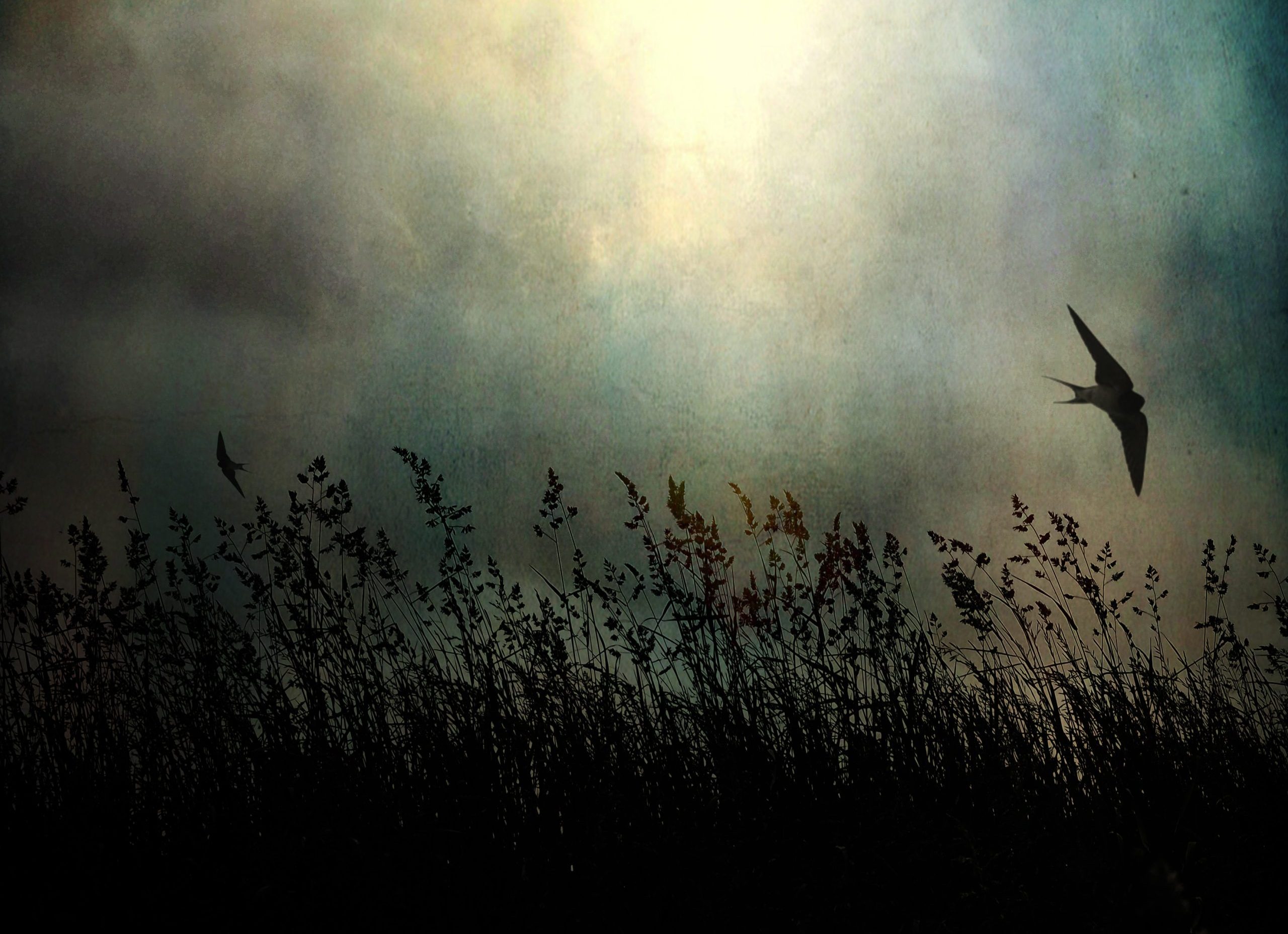 An Apostate’s Case for Nature Writing