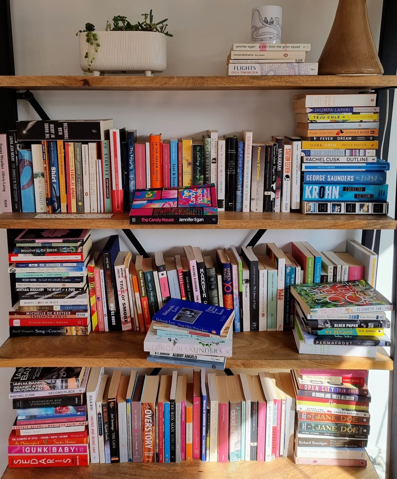 A timber bookshelf against a white wall. The bottom three shelves are filled with old and new paperbacks in various piles and arrangements. The top shelf is empty except for a small potplant in a white container, a partially visible timber lamp base, and four white paperbacks stacked face-down with a white ceramic cup on top of them.