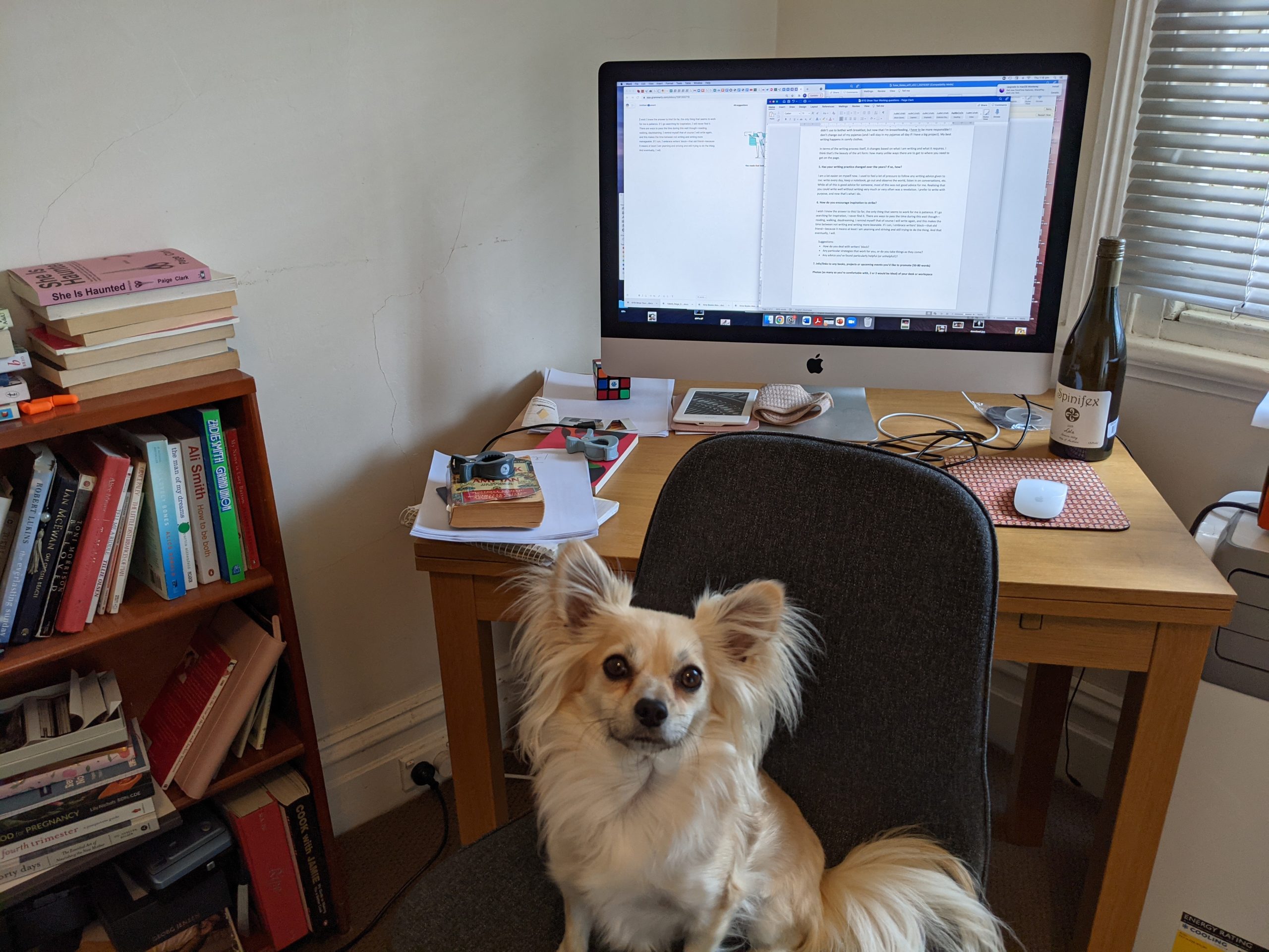 A small fluffy dog sits on a desk chair in front of a desk with an iMac computer and various papers and small items. A small bookshelf sits to the left of the desk.