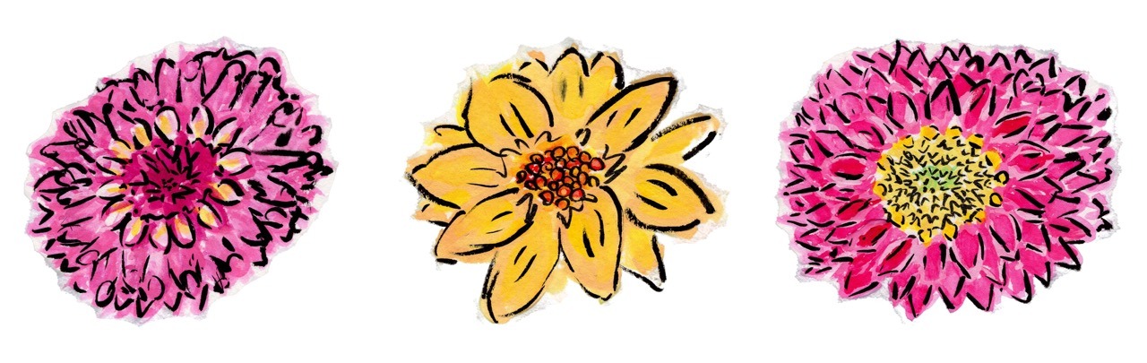 Illustrations of two pink flowers on either side of a yellow flower.