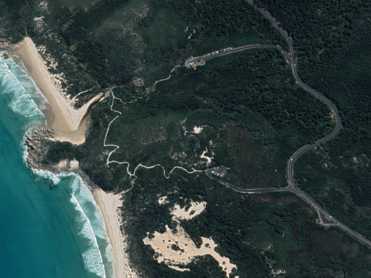 a satellite photograph of bushland and coastline at Wilson's Promontory, with a road snaking through the greenery.