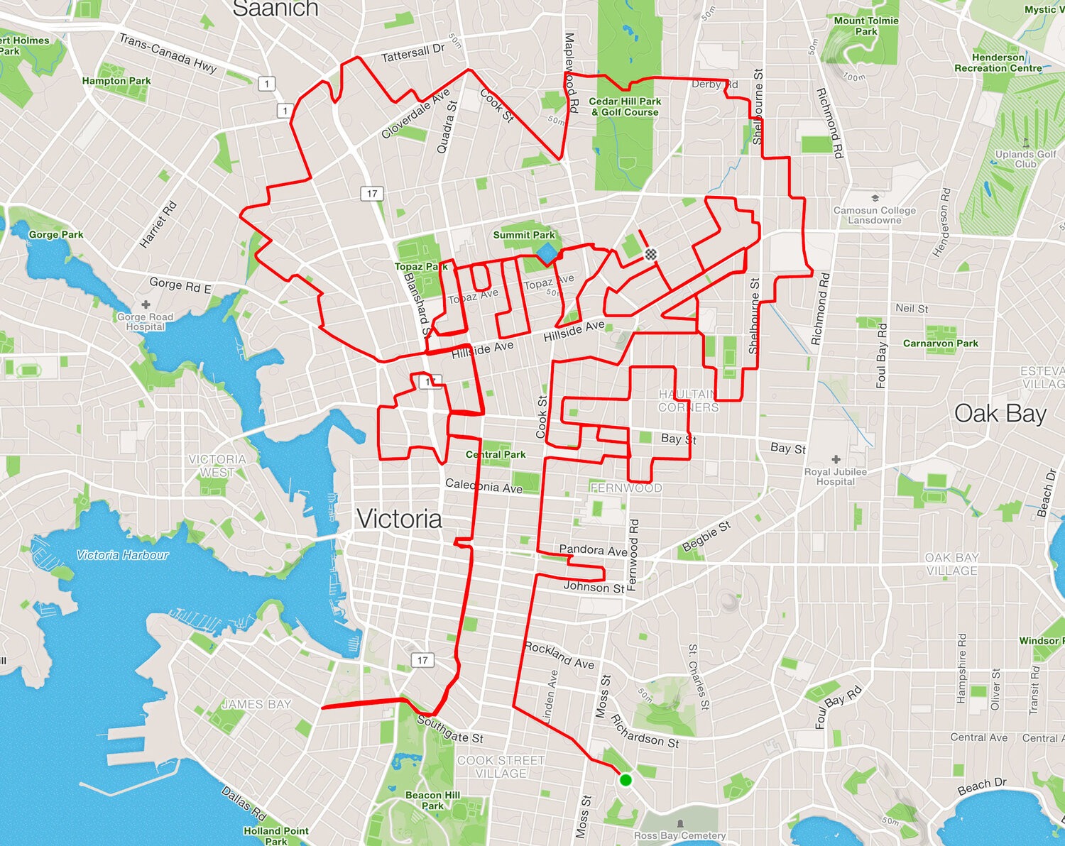 A Strava map of Victoria, canada, with red line signifying a route in the shape of a tree.
