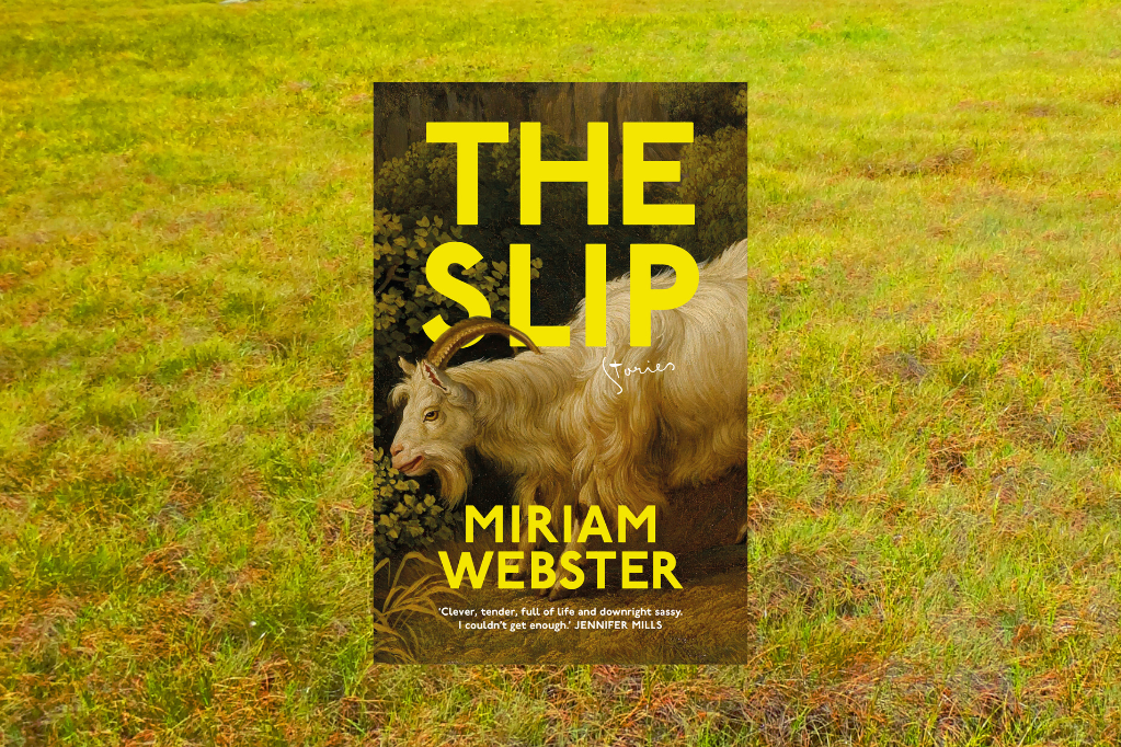 The Slip