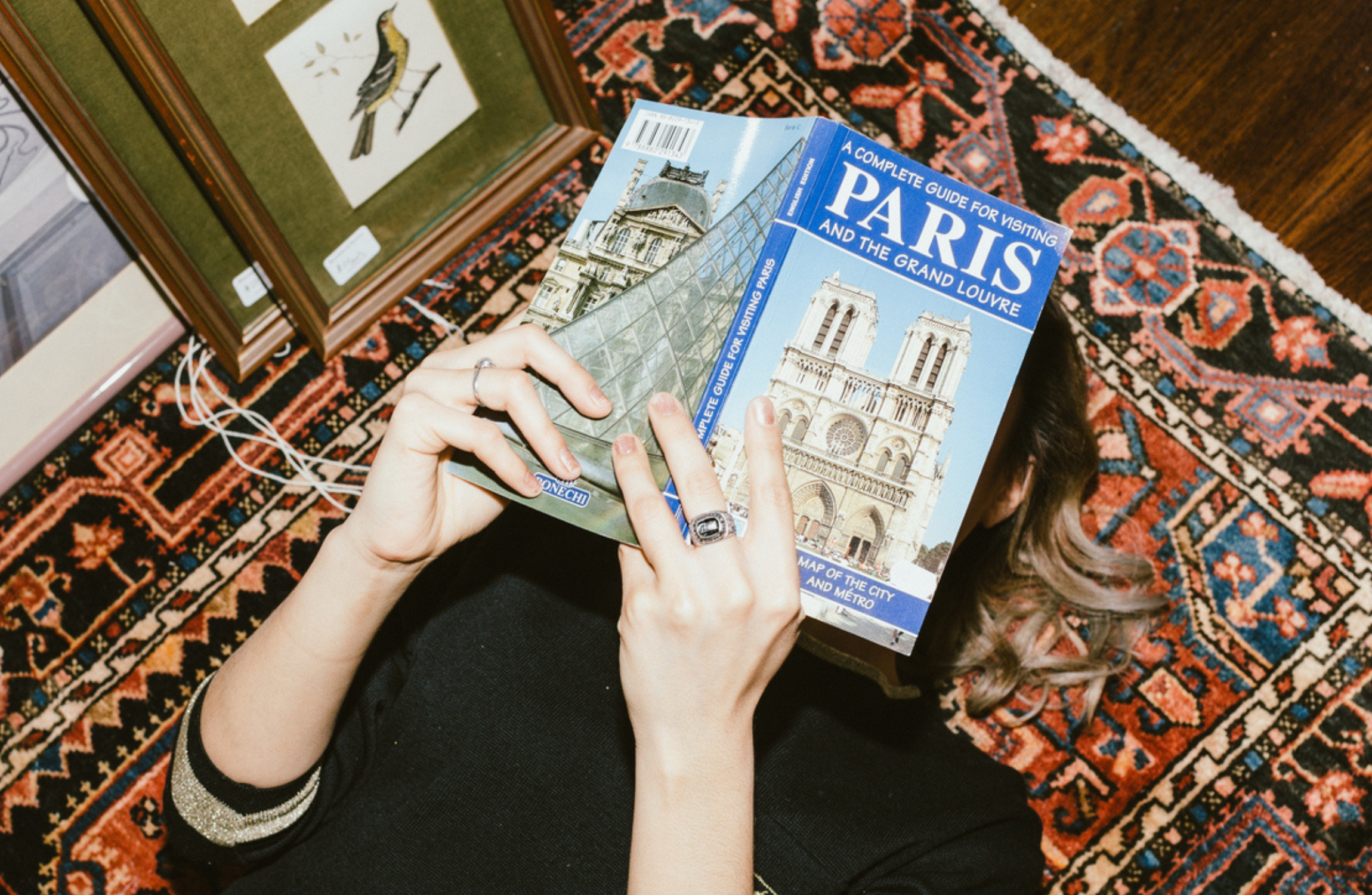 Desperately Seeking Gertrude Stein